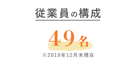 従業員の構成49名
